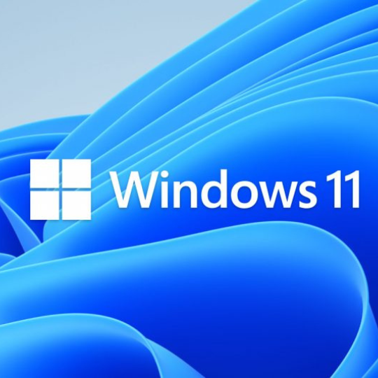 Microsoft® Windows 11 Home Microsoft® Windows 11 Home